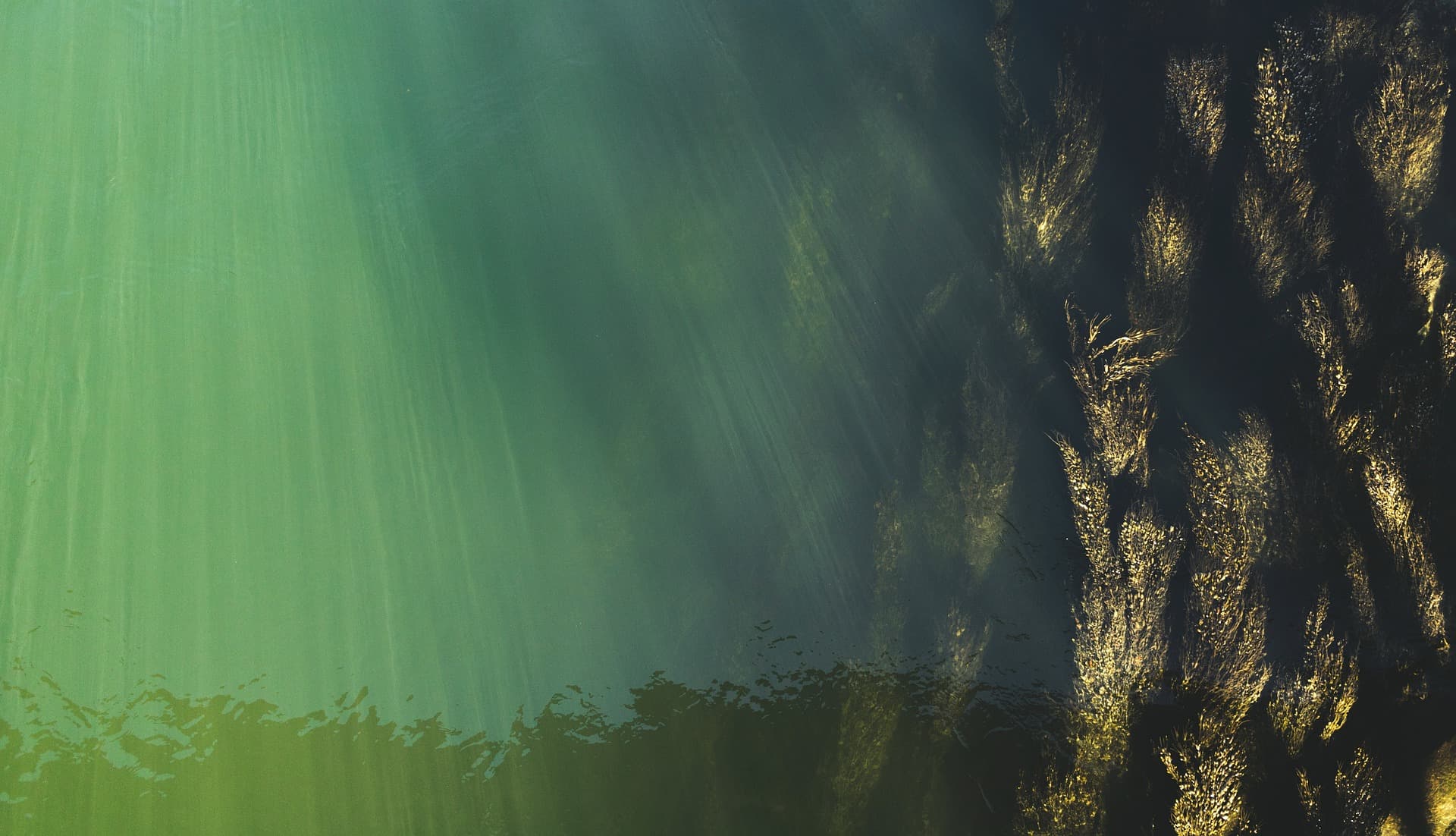 Ocean waves